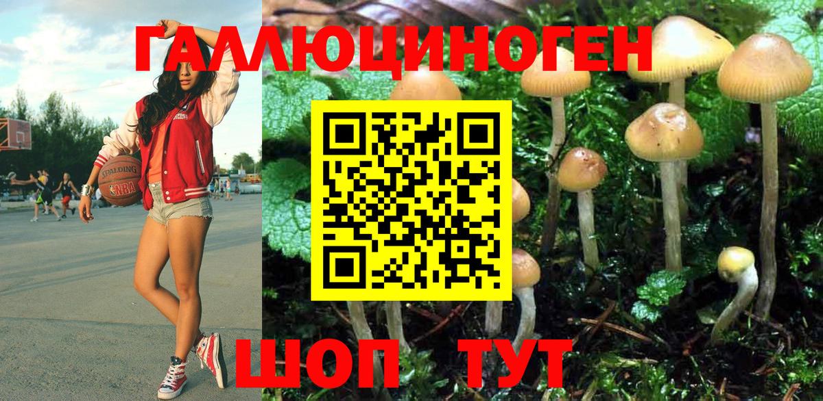 Псилоцибиновые грибы Magic Shrooms Ачхой-Мартан