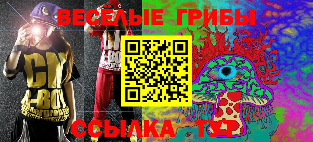 Галлюциногенные грибы GOLDEN TEACHER  Вход с VPN  Ачхой-Мартан  Псилоцибиновые грибы мухоморы 